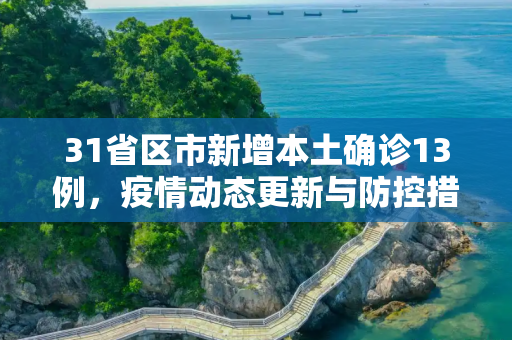 31省区市新增本土确诊13例，疫情动态更新与防控措施,31省区市新增本土确诊13例