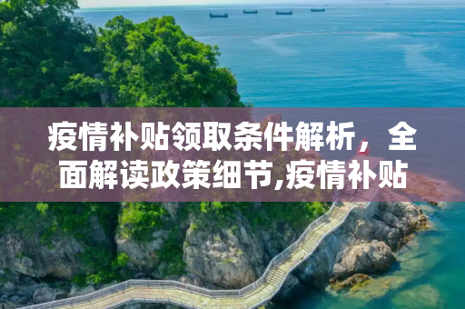 疫情补贴领取条件解析，全面解读政策细节,疫情补贴领取条件解析