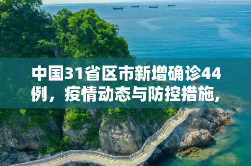 中国31省区市新增确诊44例，疫情动态与防控措施,31省区市新增确诊44例