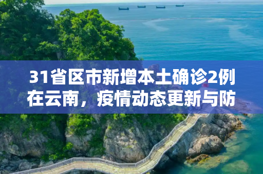 31省区市新增本土确诊2例在云南，疫情动态更新与防控措施,31省区市新增本土确诊2例在云南