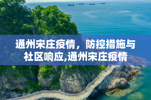 通州宋庄疫情，防控措施与社区响应,通州宋庄疫情