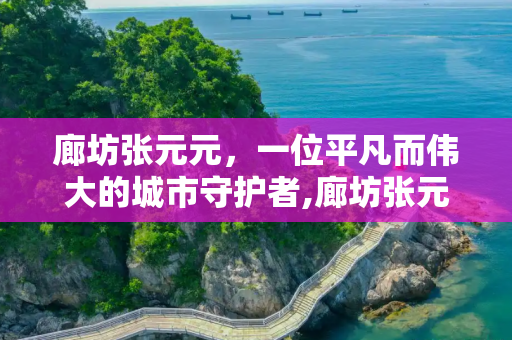廊坊张元元，一位平凡而伟大的城市守护者,廊坊张元元