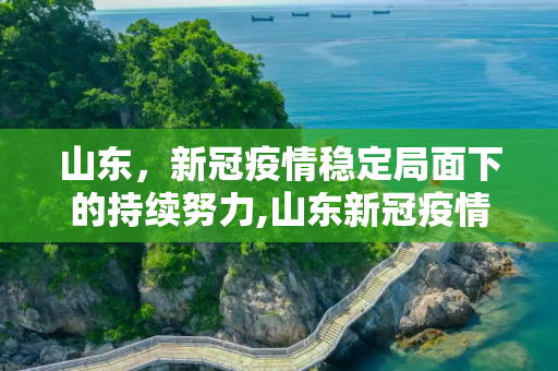 山东，新冠疫情稳定局面下的持续努力,山东新冠疫情稳定局面下的持续努力