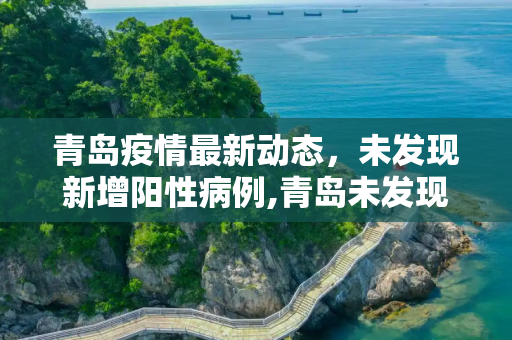 青岛疫情最新动态，未发现新增阳性病例,青岛未发现新增阳性