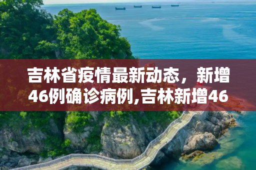 吉林省疫情最新动态，新增46例确诊病例,吉林新增46例确诊