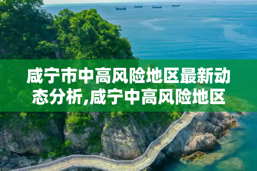 咸宁市中高风险地区最新动态分析,咸宁中高风险地区最新