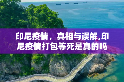 印尼疫情，真相与误解,印尼疫情打包等死是真的吗
