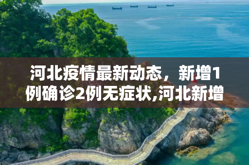 河北疫情最新动态，新增1例确诊2例无症状,河北新增1例确诊2例无症状
