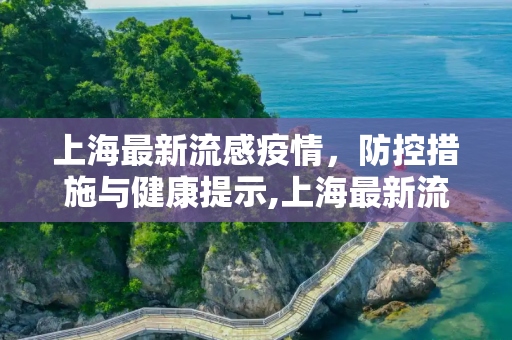 上海最新流感疫情，防控措施与健康提示,上海最新流感疫情