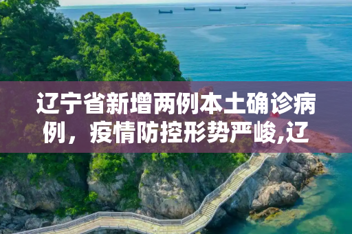 辽宁省新增两例本土确诊病例，疫情防控形势严峻,辽宁省新增2例本土确诊