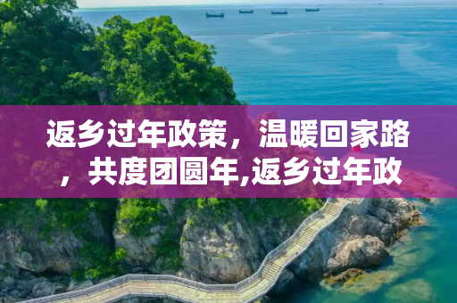 返乡过年政策，温暖回家路，共度团圆年,返乡过年政策