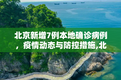 北京新增7例本地确诊病例，疫情动态与防控措施,北京新增7例本地确诊病例的简单介绍