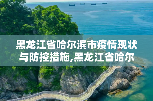 黑龙江省哈尔滨市疫情现状与防控措施,黑龙江省哈尔滨疫情