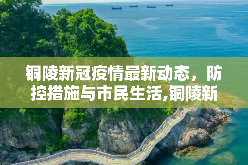 铜陵新冠疫情最新动态，防控措施与市民生活,铜陵新冠疫情最新消息