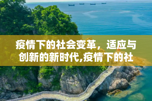 疫情下的社会变革，适应与创新的新时代,疫情下的社会变革