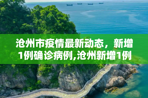 沧州市疫情最新动态，新增1例确诊病例,沧州新增1例
