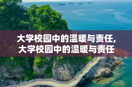 大学校园中的温暖与责任,大学校园中的温暖与责任
