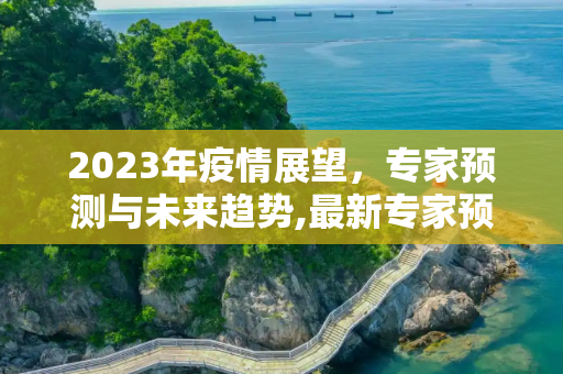 2023年疫情展望，专家预测与未来趋势,最新专家预测2023年疫情