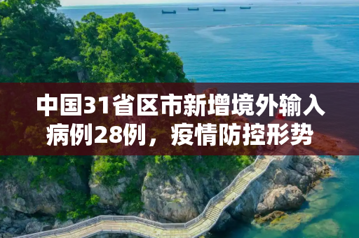 中国31省区市新增境外输入病例28例，疫情防控形势依然严峻,31省区市新增境外输入28例