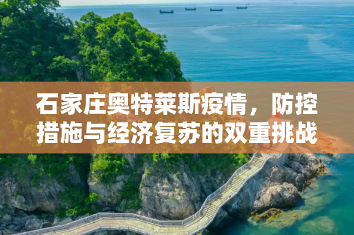 石家庄奥特莱斯疫情，防控措施与经济复苏的双重挑战,石家庄奥特莱斯疫情
